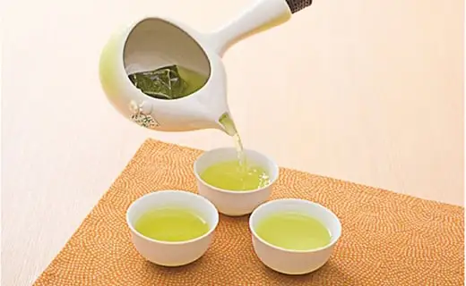 お茶 緑茶 ティーバッグ パック 静岡茶 日本茶 健康茶 茶葉 おちゃ 贈答 ギフト プレゼント お土産 静岡県 藤枝市  | 緑茶緑茶緑茶緑茶