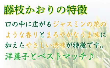 お茶 ペットボトル 緑茶 藤枝かおり 350ml×24本  お茶