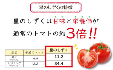 フルーツトマト 1.7kg 星のしずく フルーツトマト