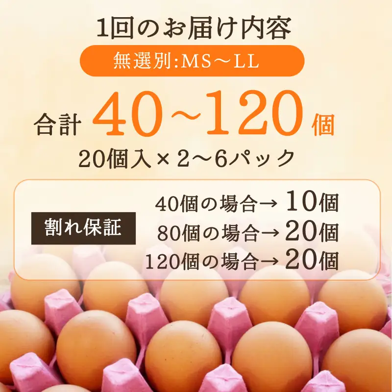 卵 赤たまご 40個 卵  たまご 【ふるなび限定】【配送不可地域：北海道、沖縄、離島】