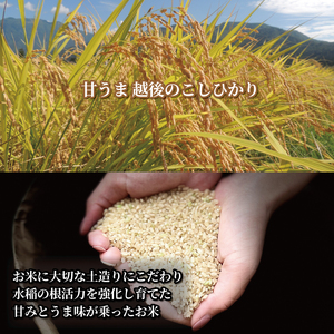 コシヒカリ 定期便 7kg 6ヵ月 42kg 甘うま越後のこしひかり コシヒカリ定期便 米定期便 玄米定期便 精米定期便 コシヒカリ toushin01001
