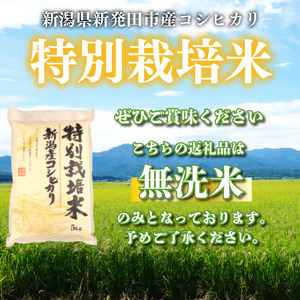 【寄付金額改定】無洗米 10kg 令和7年産 コシヒカリ 新潟 toushin011_05