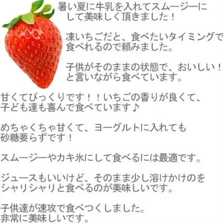 産地直送だから苺本来の美味しさ!BELL FARMの冷凍 いちご1kg 収穫当日冷凍の苺1kg_冷凍 いちご 苺 BELLFARM 産地直送_【配送不可地域：離島】【1230635】