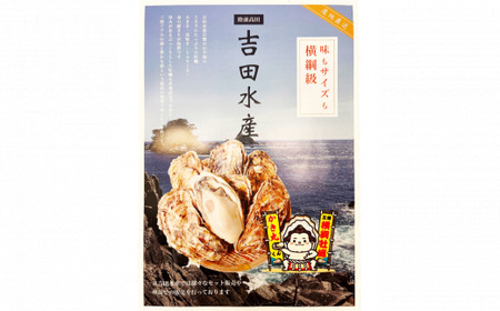 先行予約【ぷりぷり濃厚】 訳あり むき身牡蠣 500g 冷蔵 牡蠣
