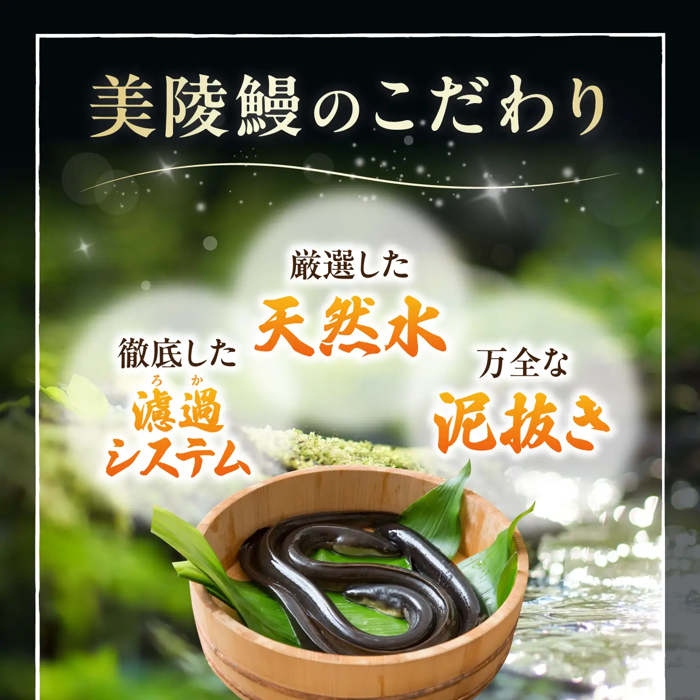 【お中元対象】鰻 鰻の白焼 2尾 BLAM004