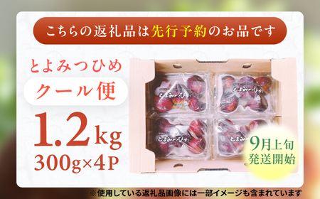 【先行予 2026年9月上旬より発送】いちじく（とよみつひめ）約1.2kg [AFAB067] いちじく