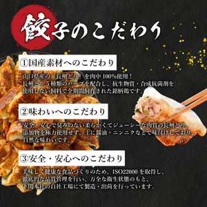 訳あり 餃子72個 冷凍 小分け 鶏肉餃子 IB