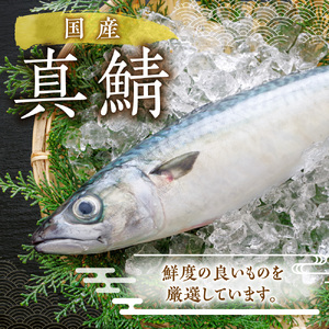 しめ鯖フィレ