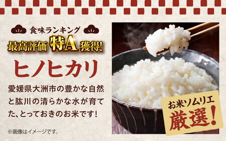 令和6年産 白米 15kg（ヒノヒカリ5kg×3袋）/稲工房案山子[AGAV012] 白米 5kg 白米 5kg 白米 5kg 白米 5kg 白米 5kg
