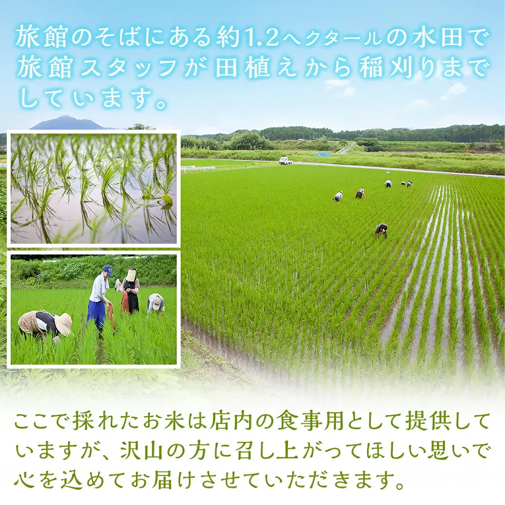 都城産ヒノヒカリ5kg【旅館・常盤荘のお米】〔14-J703〕_(都城市) 都城産 ヒノヒカリ 5kg×1袋 令和7年産 新米 食事 食卓 もちもち 食感 あっさり