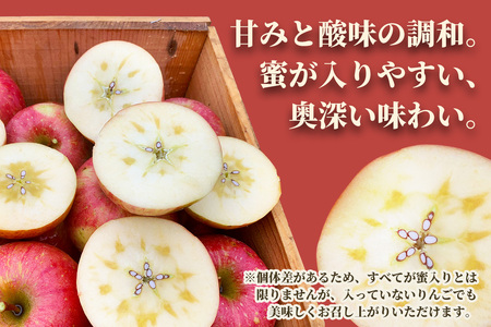 完熟！りんご 葉とらずサンふじ 5kg [1087] | 青森 つがる