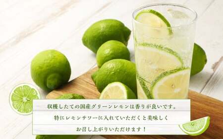 国産グリーンレモン  4kg【2026年10月上旬～11月下旬まで順次発送予定】｜ フルーツ 果物 グリーンレモン レモン 柑橘 れもん 檸檬 国産 静岡県 菊川市