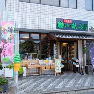 お茶 深蒸し茶 献茶園 特製茶 特芽 & 特芽ゴールド 八女茶 茶 緑茶