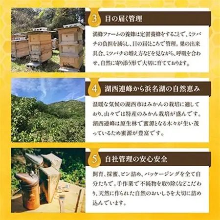 浜名湖ほとり 渚みかんはちみつ・みなと百花はちみつ 各460g・みなと百花はちみつ 300g　3本_調味料 はちみつ  ハチミツ 蜂蜜_【1390461】