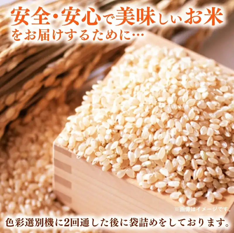 令和7年産 開運米 コシヒカリ 【玄米】（減農薬）幸手産 - 5kg×2袋 10kg こしひかり 福祉 応援 安心 安全 埼玉県 幸手市 幸手市産