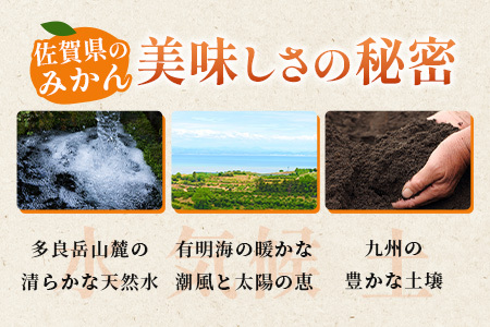 佐賀県産 温州みかん（2L～3L混載）大玉みかん サイズ指定不可【2026年11月下旬～1月上旬頃発送予定】｜果物 フルーツ 温州みかん 大玉 柑橘 国産 九州産 人気 甘い 佐賀産 鹿島産 B-802