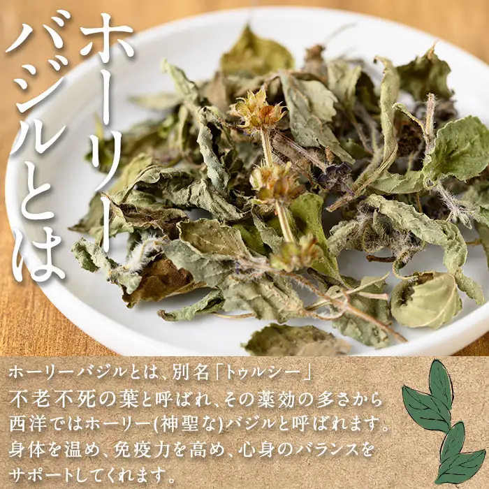 n284 モリンガ 茶 ホーリー バジル 茶 セット 計32g・各8g × 2個 国産 鹿児島 種子島 茶葉 ハーブ ハーブティー 【Bamboo Forest】