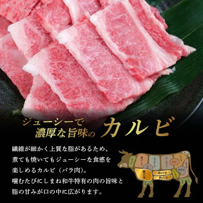 しまね和牛 焼肉用3種セット （肩ロース、カルビ、モモ）セット 900g 【黒毛和牛 おすすめ 冷凍 和牛オリンピック 肉質NO.1 焼肉 セット 食べ比べ 牛肉 ロース モモ肉 国産 和牛 霜降り 赤身 ジューシー ギフト 贈り物 島根県 安来市】 【50-DC-63】