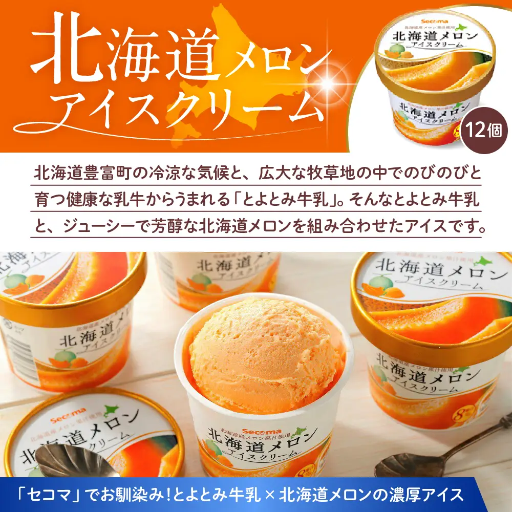 とよとみ牛乳 北海道メロンアイスクリーム 110ml×12個