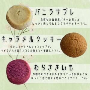 クッキー いろいろクッキー(クッキー７種類入り) 12袋セット シフォンのお店PUKKU 手作り ハンドメイド 16-004