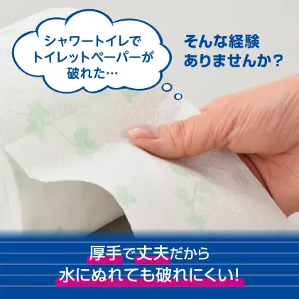 【2ヵ月連続お届け・計144ロール】エリエール シャワートイレのためにつくった吸水力が2倍 トイレットペーパー ダブル 25m 12R 6パック 計72ロール 防災 常備品 備蓄品 消耗品 日用品 送料無料 北海道 赤平市
