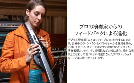 電子管楽器 Aerophone Pro AE 30 電子管楽器
