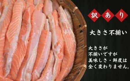 訳あり トロ サーモン(鮭)  ハラス 約3kg さけ 鮭 さけ 鮭 さけ 鮭 荒野商店