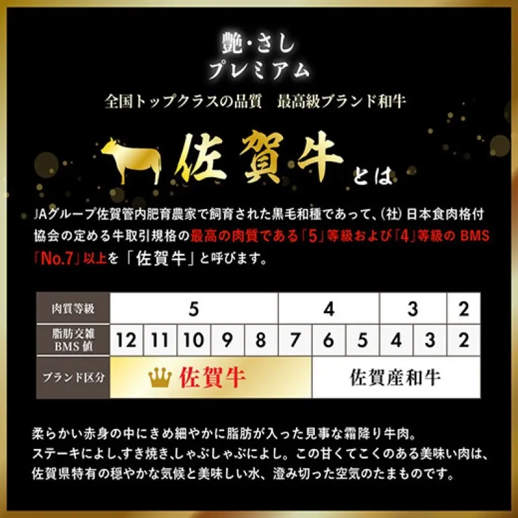 佐賀牛 ローストビーフ 380g (2個合計) ※配送不可：北海道、沖縄県、離島 牛肉 肉 