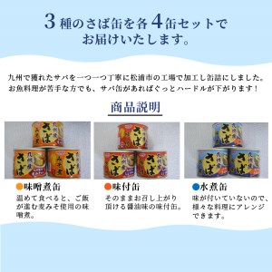 ＊さば缶セット(3種×各4缶)【B0-022】