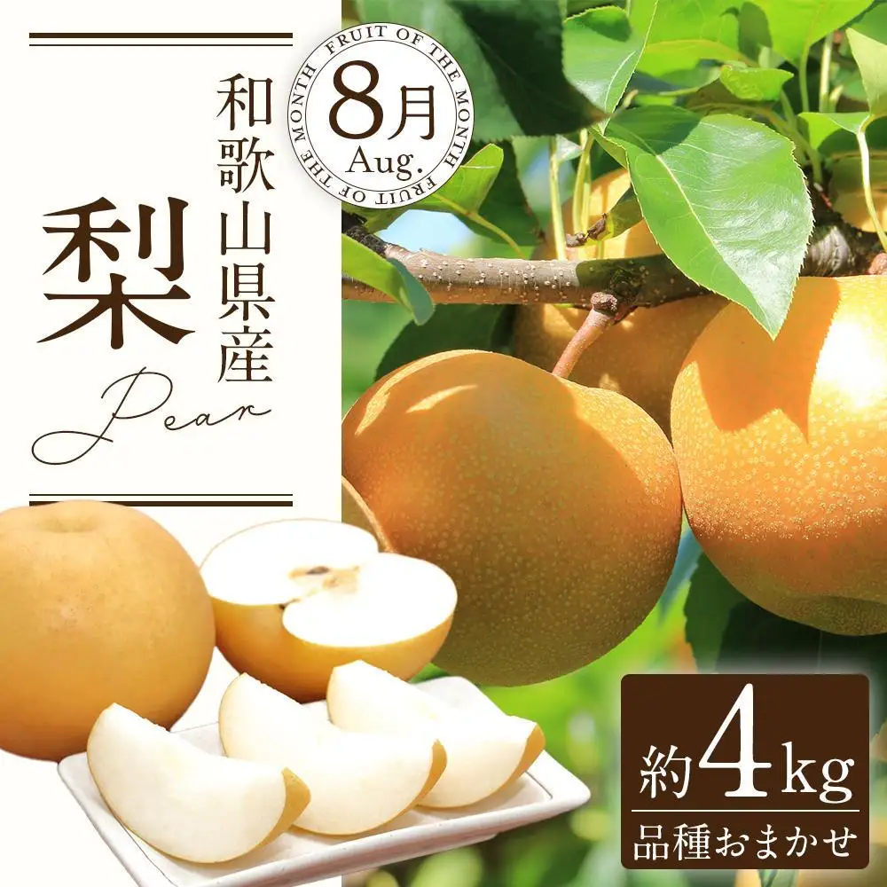 定期便全3回 【7月・8月・9月発送】 和歌山の夏のフルーツをお届け（桃・梨・たねなしピオーネ）【TM179】