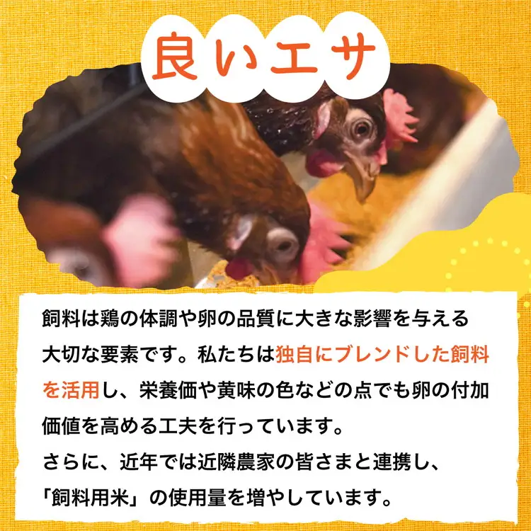 【TVで紹介】卵 霧の卵 30個【北海道・沖縄・離島配送不可】