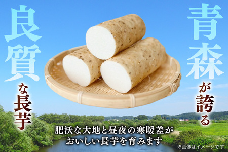 長芋 まほろば長芋 中サイズ 3〜4本 セット 約 3kg