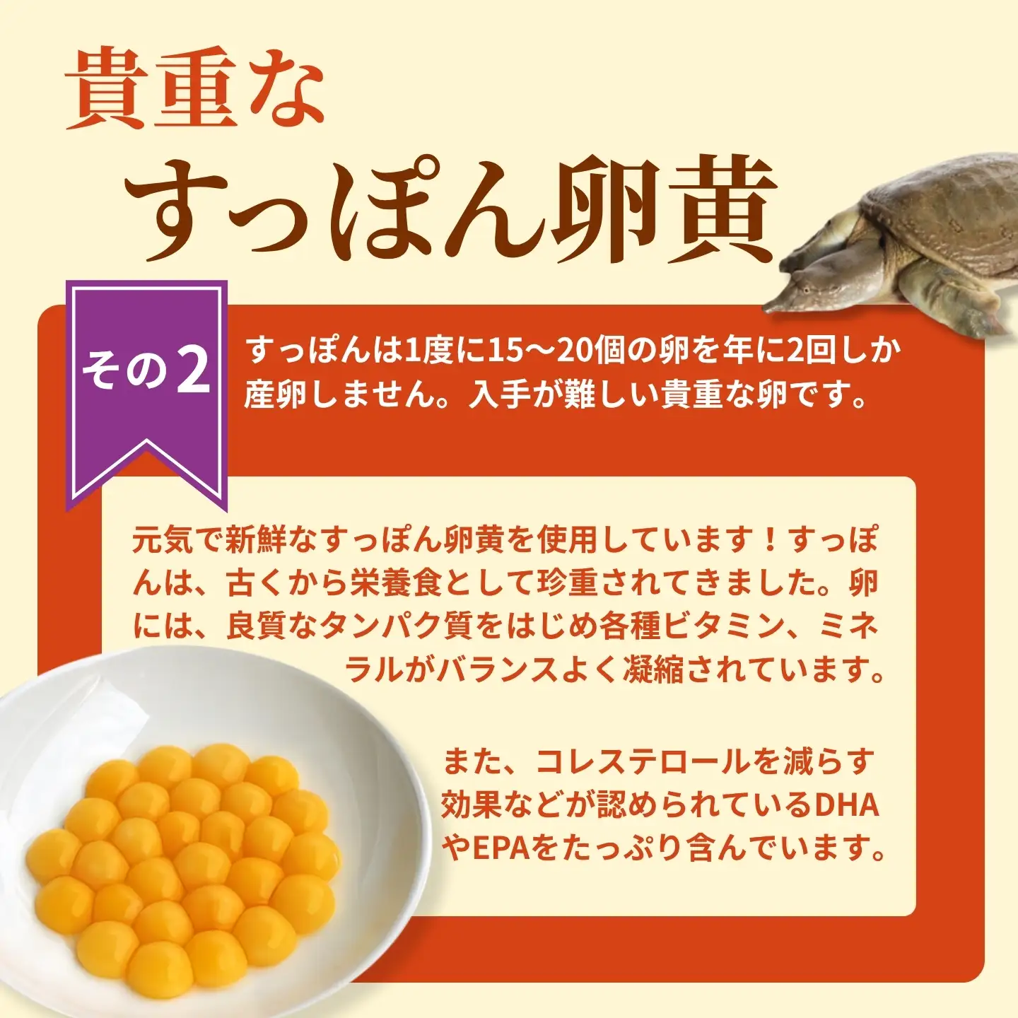 こつこつ真面目に作った すっぽん黒ひげにんにく玉 15袋セット：C104-006