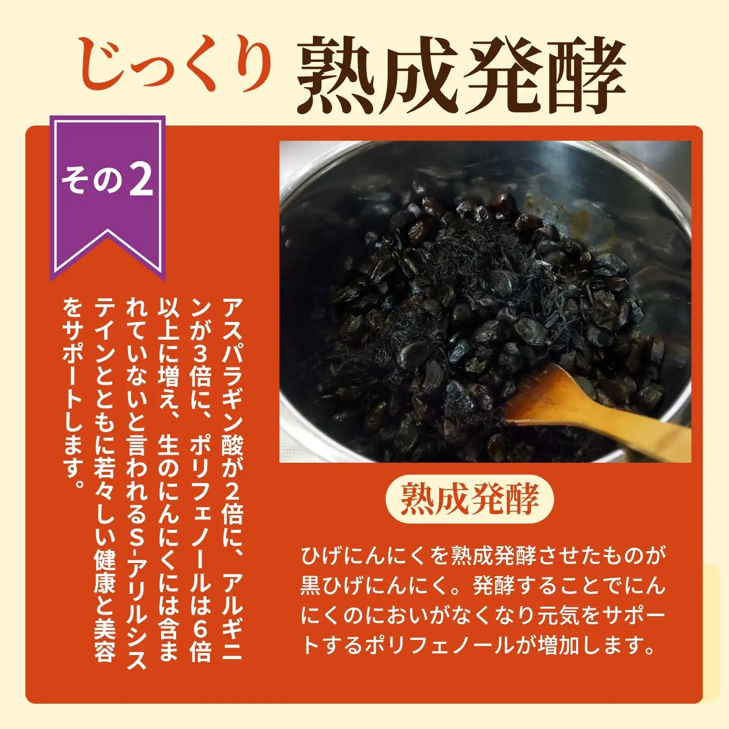 【レターパックライト配送】佐賀にしか無い手作り無添加の黒ひげにんにく玉 10袋セット：B610-001