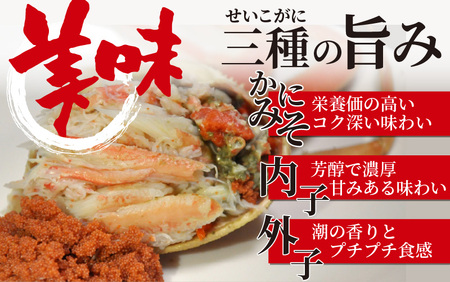【先行予約】せいこがに 約100g～150g×5杯【11月～12月発送】 日本海 直送
