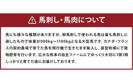 FNタテガミ入り 馬肉 ハンバーグ（デミソース）8個セット 馬肉 お肉 惣菜 ハンバーグ タテガミ コウネ ソース付 お取り寄せ 簡単調理