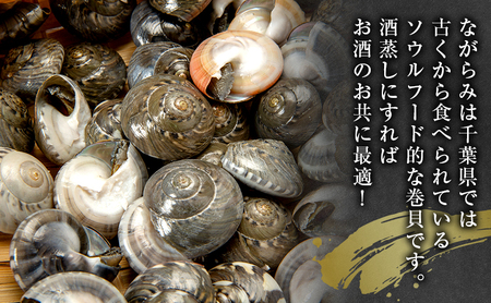 ながらみ 魚介類 貝 幻の貝 九十九里産 ながらみ【1.2kg】【冷凍】