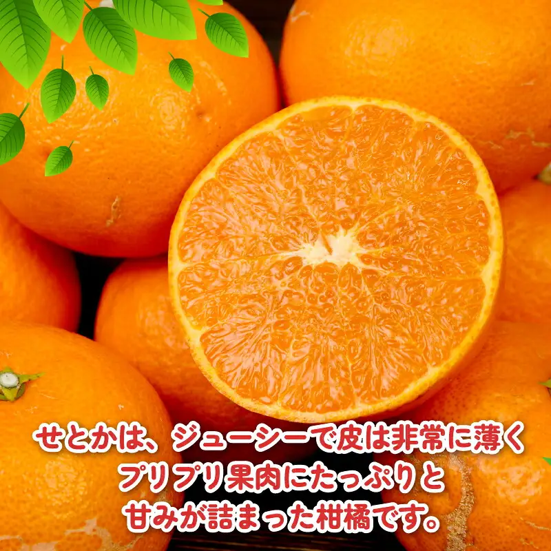 訳あり せとか 約4kg 杉本屋 せとか B010-143016