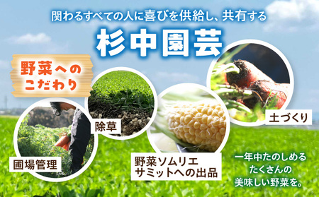 《2027年7月～発送》塩茹で専用！生落花生『300g×6パック』・S063-145