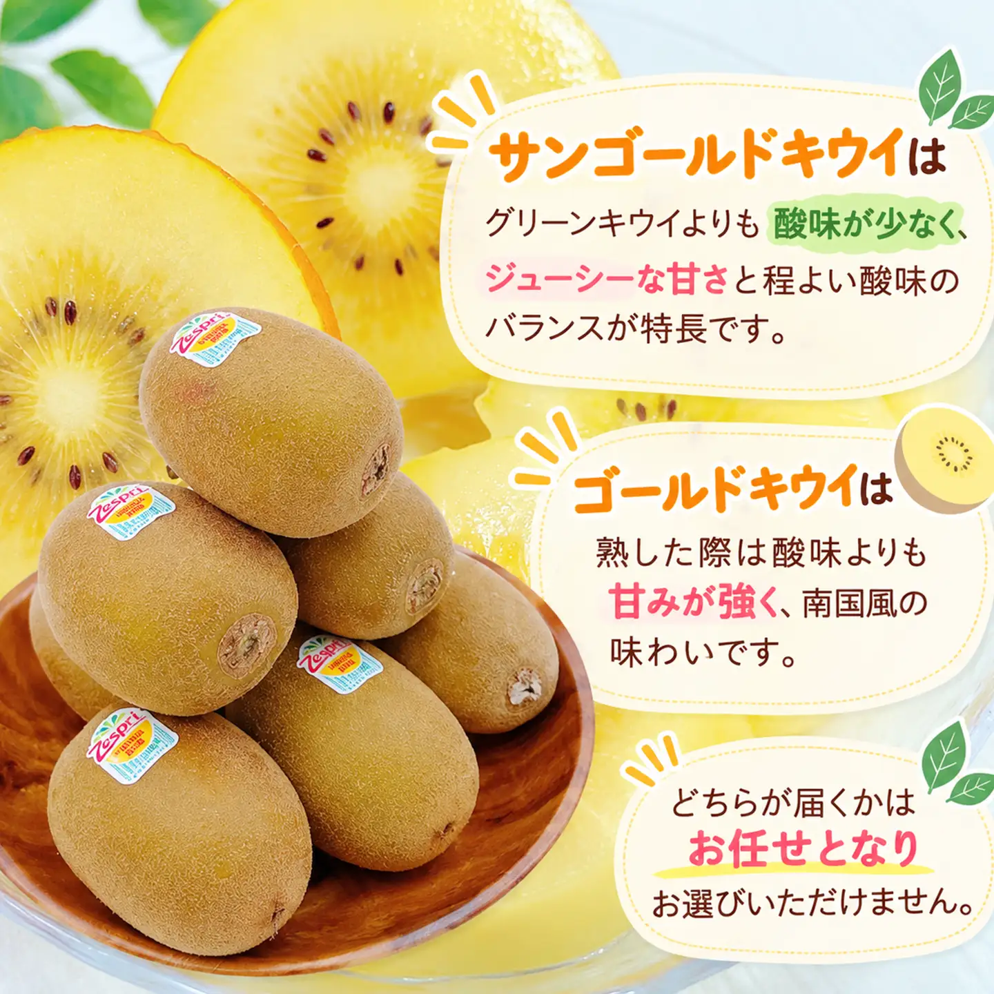 サンゴールドキウイ または ゴールドキウイ 10～12玉 【11月下旬～12月下旬頃発送】
