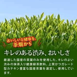 131-4000　【定期便3か月】お～いお茶濃い茶PET600ml×24本