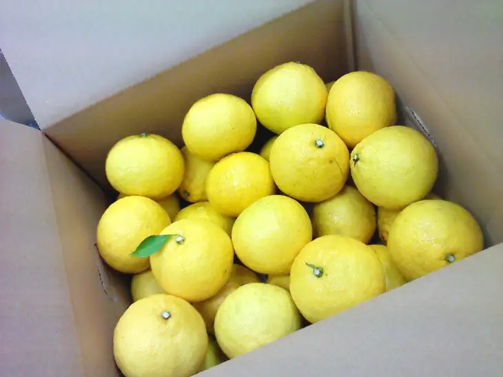 【先行受付中】爽やか に 甘い ！ 糸島産 「 はるか 」  お試し用 約 3kg 【2027年3月以降順次発送】二丈赤米産直センター [ABB003] 