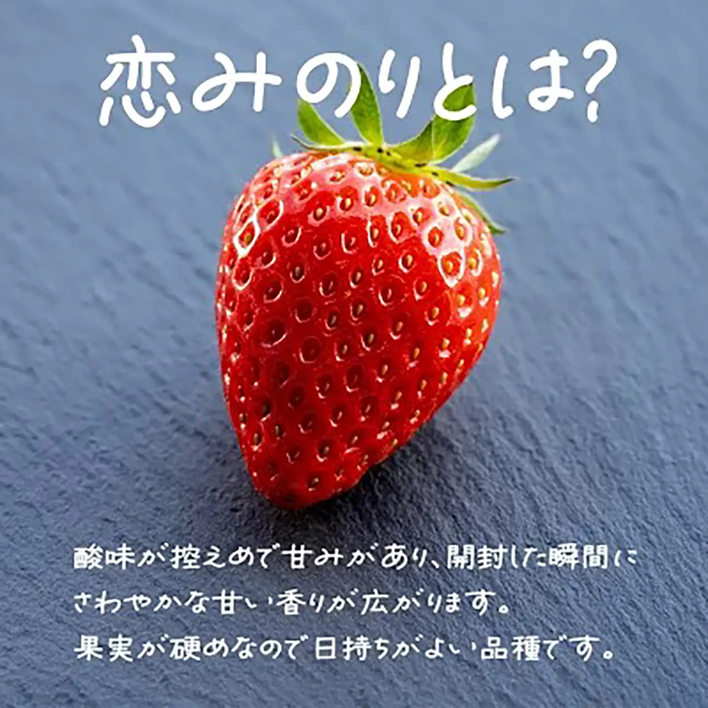いちご 有機いちご400g・有機野菜セットB
