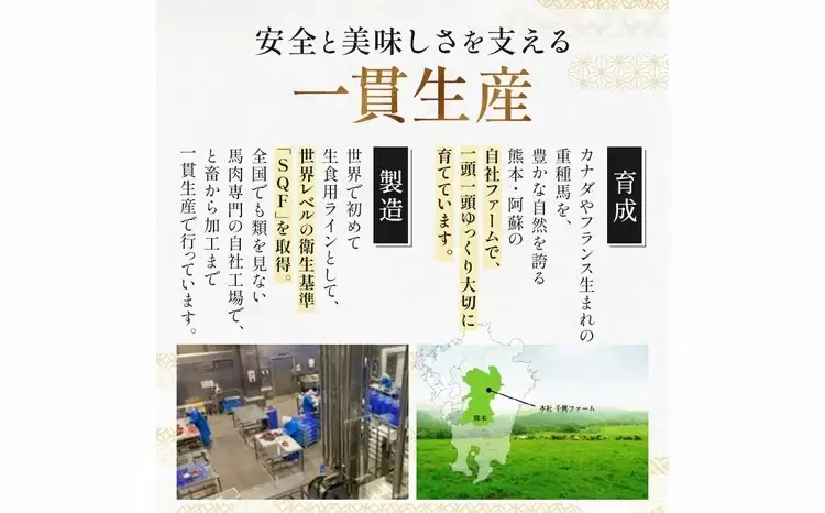 FK7-0345_ 鮮馬刺しスライス5種バラエティーセット 馬刺し 赤身 肉 馬肉