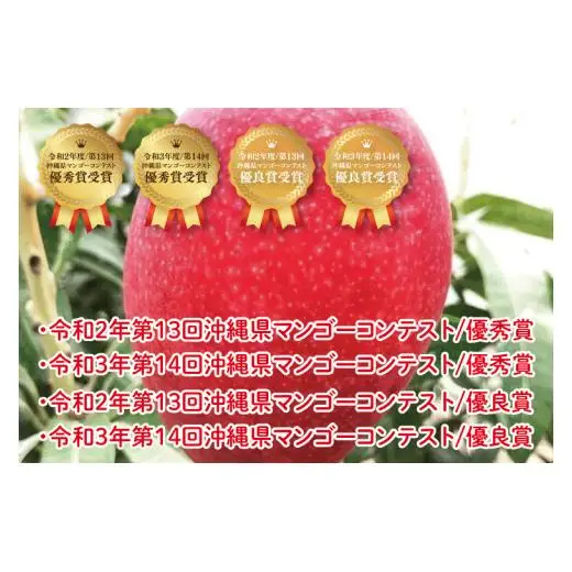 【先行受付】【2027年発送】豊見城産プレミアムマンゴー約900g（化粧）糖度15度保障 AE026