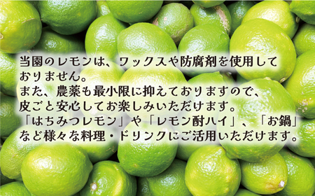 【先行予約：2026年11月上旬～発送】 訳あり レモン3kg 6000円 柑橘 檸檬 国産 れもん フルーツ 果物 果実 産地直送 農家直送 数量限定 期間限定 特産品 瀬戸内 ワックス 防腐剤 不使用 わけあり 人気 新鮮 少量 お試し レモネード 塩レモン レモンソース はちみつレモン あいなんマザーズ 愛南町 愛媛県