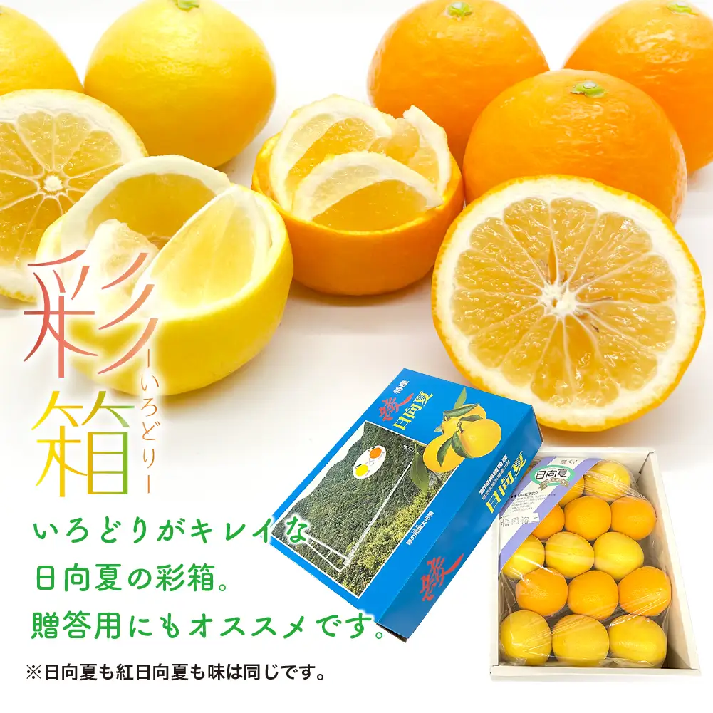 【先行予約】紅日向夏と日向夏の彩り箱 2.5kg 果物 フルーツ くだもの 柑橘 種少なめ フルーツサンド おやつ スイーツ デザート ジャム おすすめ ギフト 贈り物 贈答 プレゼント おすそ分け お返し 宮崎県 綾町 送料無料【JA綾町】_A0114-2451
