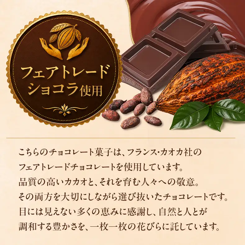 【定期便5回 毎月お届け】【花びらのようなチョコレート ミルティペタル】6つのフレーバーをお楽しみください＜福岡市＞ チョコレート
