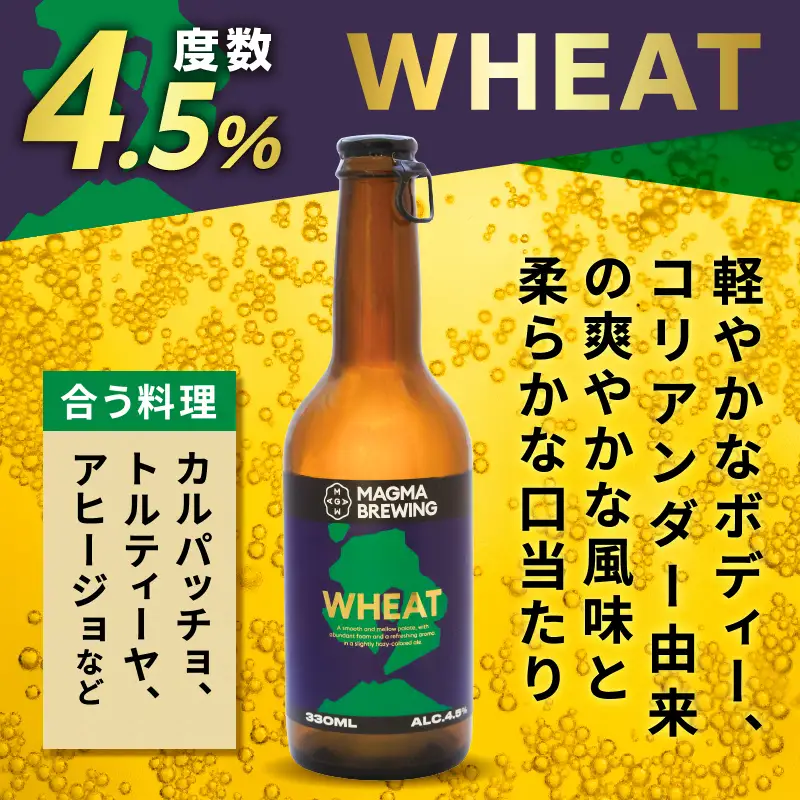 クラフト ビール 3本 飲み比べ セット K267-001 酒