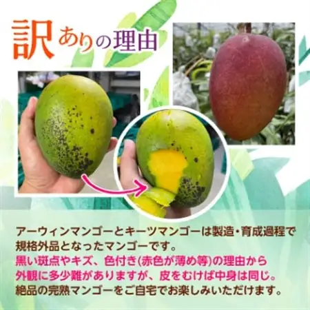 【発送月固定定期便】沖縄の豊かな自然で育ったフルーツ定期便全3回【配送不可地域：離島】【4058900】